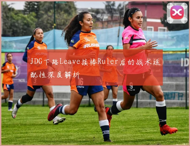 JDG下路Leave接棒Ruler后的战术适配性深度解析