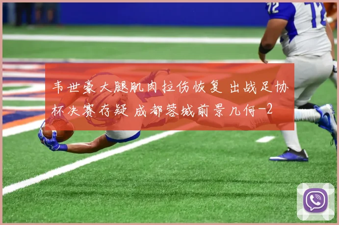 韦世豪大腿肌肉拉伤恢复 出战足协杯决赛存疑 成都蓉城前景几何