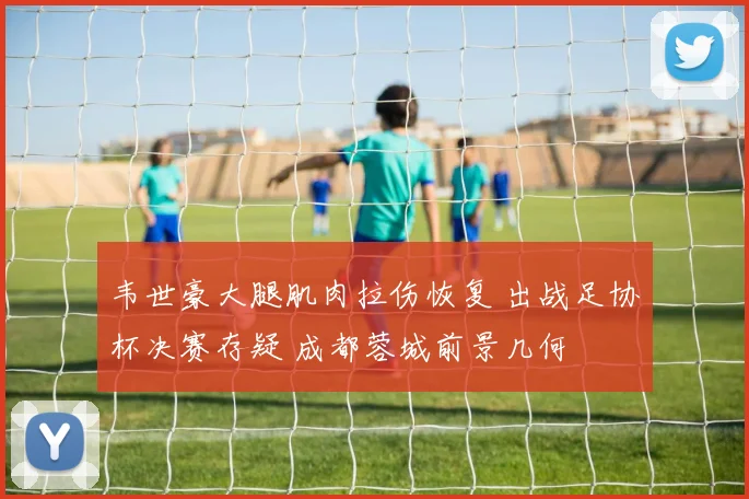 韦世豪大腿肌肉拉伤恢复 出战足协杯决赛存疑 成都蓉城前景几何